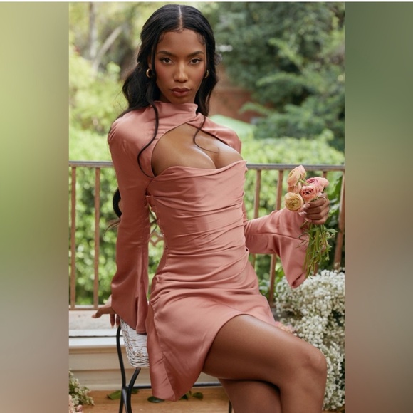 House of Cb Toira Rose Draped Corset Dress - Picture 4 of 11